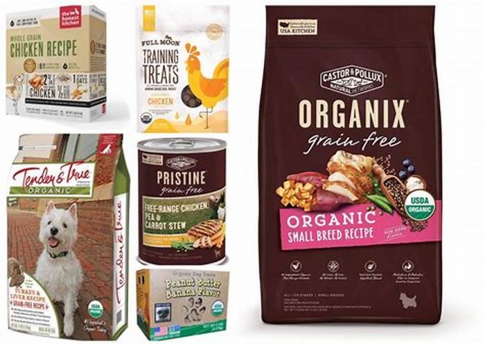 A Tail of Two Treats: Understanding Organic Dog Food Options