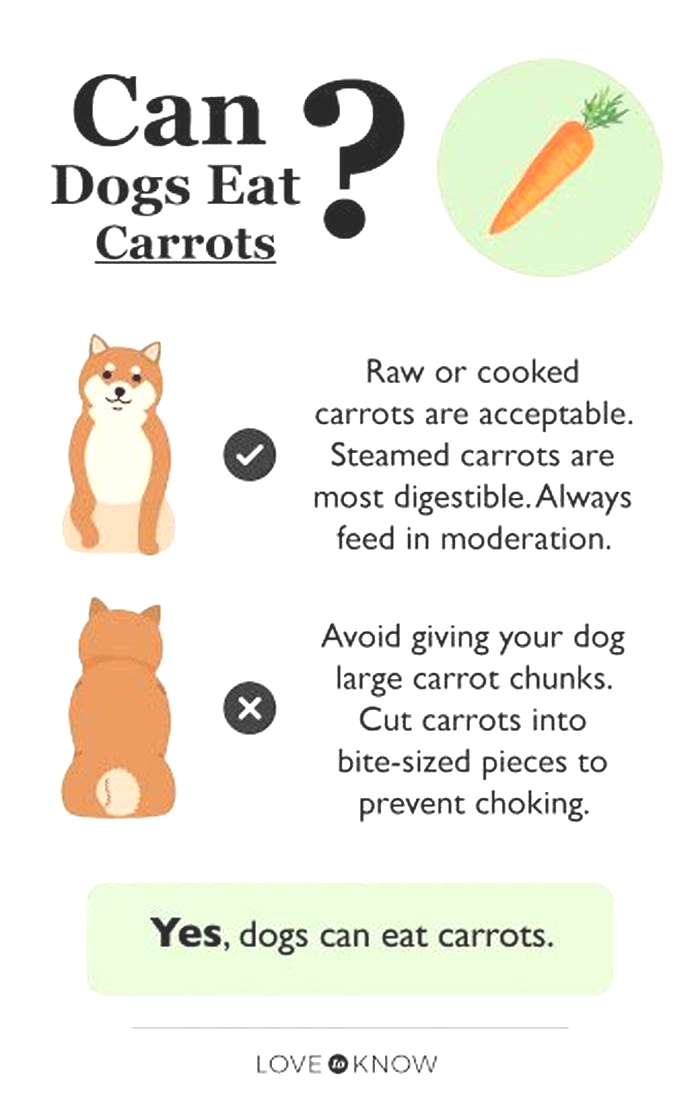 Are carrots better for dogs raw or cooked