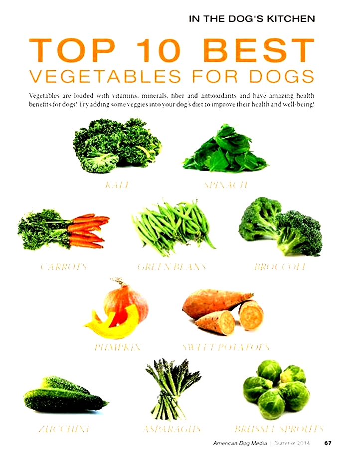 Are raw vegetables better for dogs?