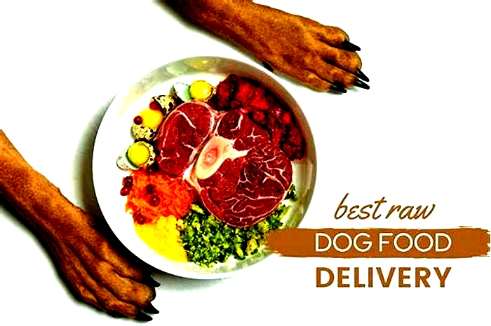 best raw dog food delivery,