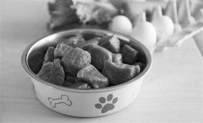 best raw dog food for puppies,