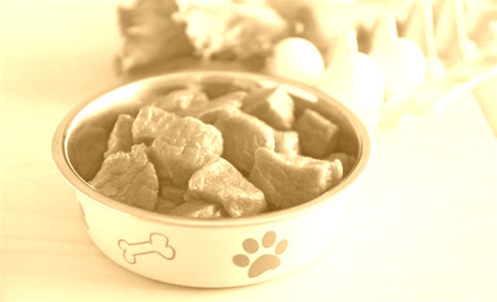 best raw dog food reddit