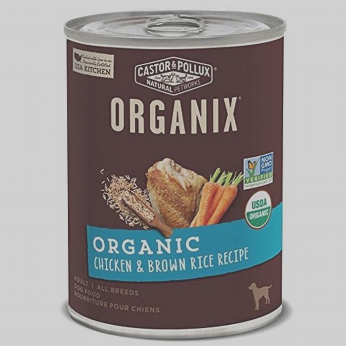 Beyond the Kibble: Exploring the Range of Organic Dog Food Options Available