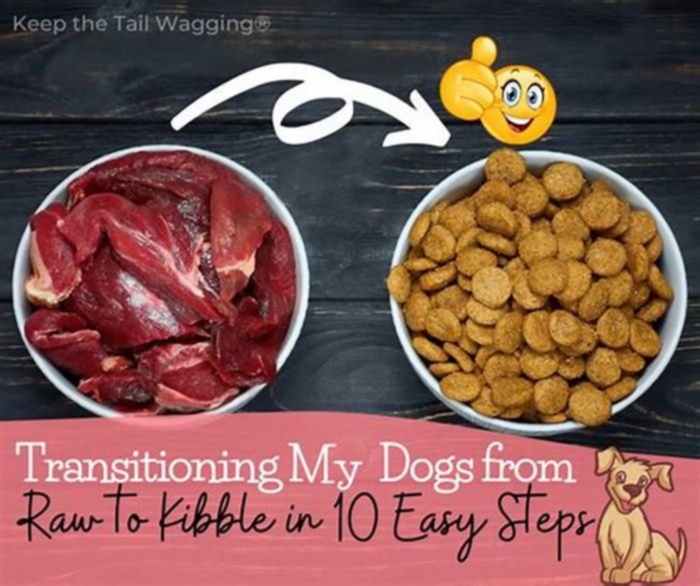 Beyond the Kibble: Transitioning Your Dog to Wholesome, Nutrient-Dense Organic Food Choices