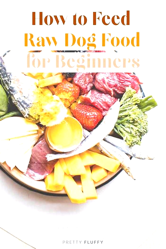 Bite into Better Health A Guide to Superior Raw Dog Food Choices