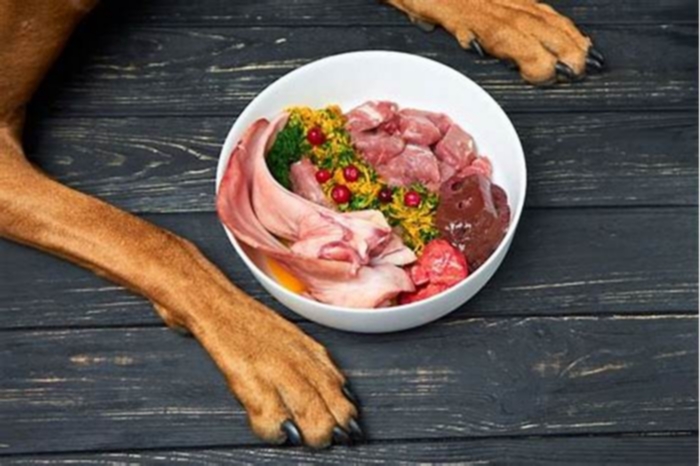 Bite into Better Health: Fueling Your Dog's Wellness with Raw Food