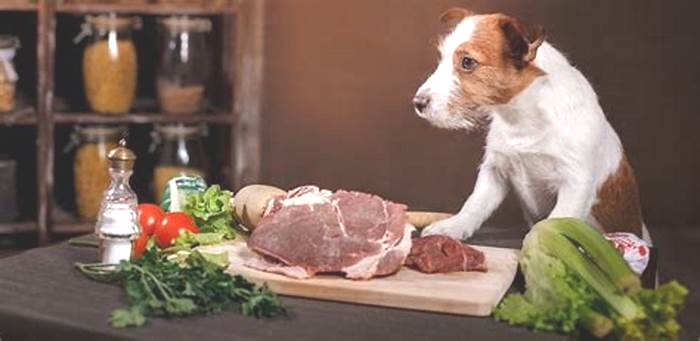 Bite into Better Health Fueling Your Dog s Wellness with Raw Nutrition