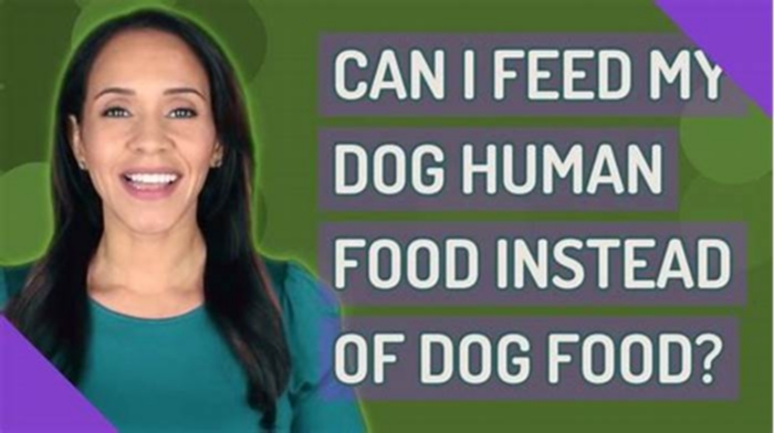 Can I feed my dog human food instead of dog food?