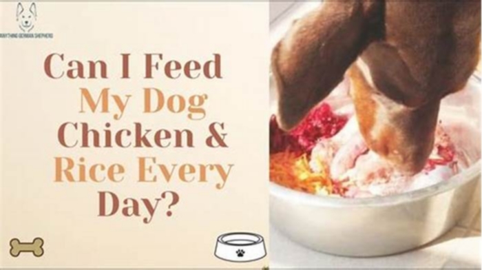 Can I feed my dog organic chicken