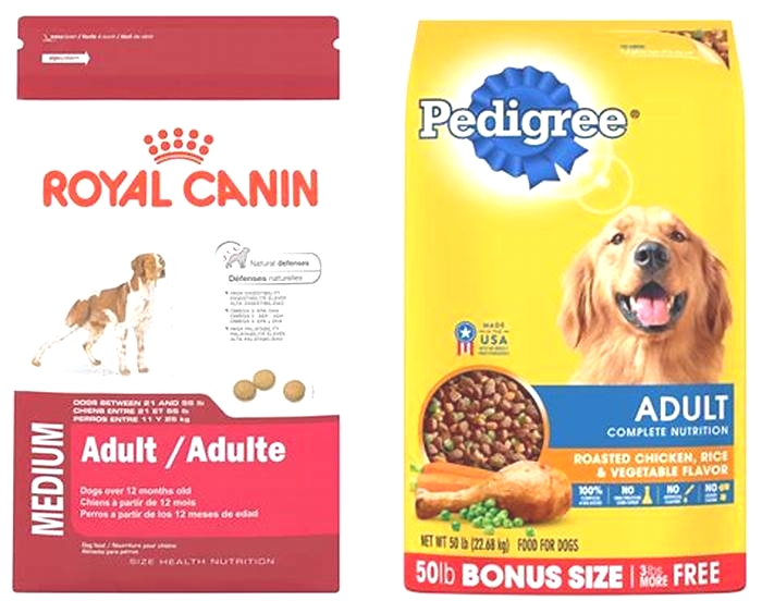 Can I switch from pedigree to Royal Canin