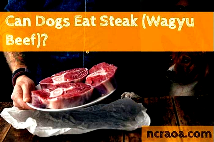 Can dogs eat Wagyu beef