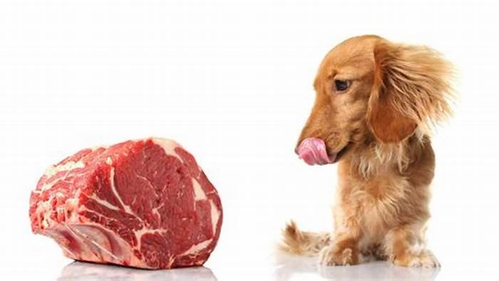 Can dogs eat raw and cooked meat together?