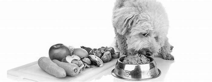 Can dogs eat raw food everyday?