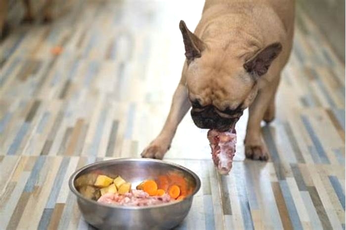 Can my dog eat raw chicken everyday?