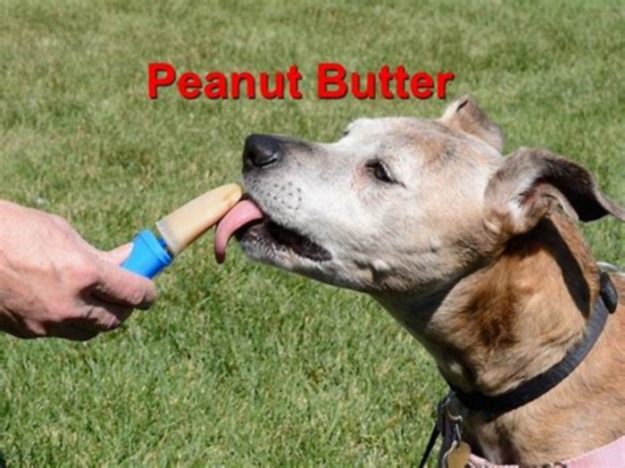 Can too much peanut butter hurt a dog?