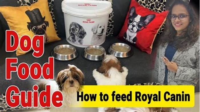 Can we feed Royal Canin without water