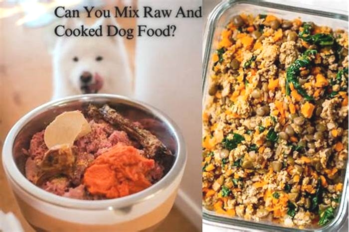 Can you mix raw and cooked dog food