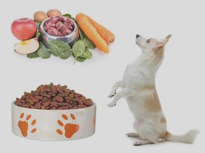 Can you mix raw and kibble?