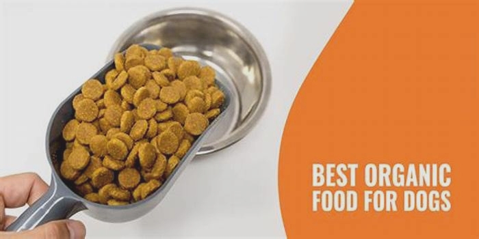 Canine Connoisseurs: Gourmet Organic Dog Food Explained