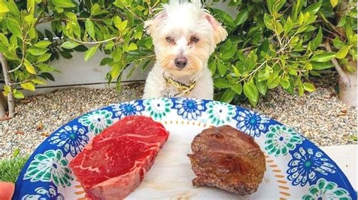 Do dogs prefer raw or cooked?