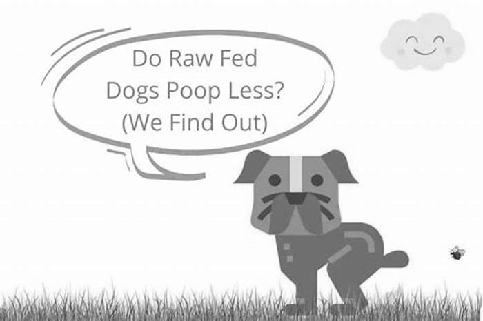 Do raw fed dogs pee less