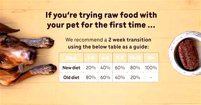 Do vets recommend a raw diet for dogs?