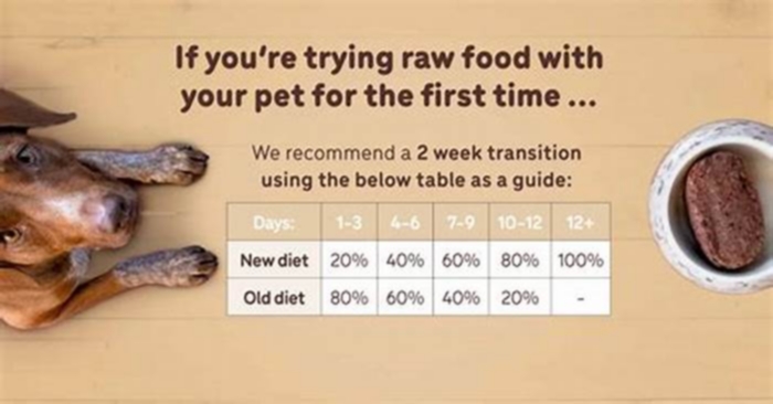 Do vets recommend feeding raw?