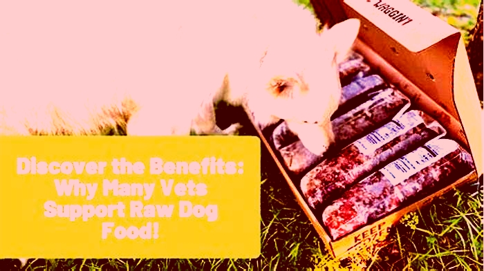 Do vets support raw feeding