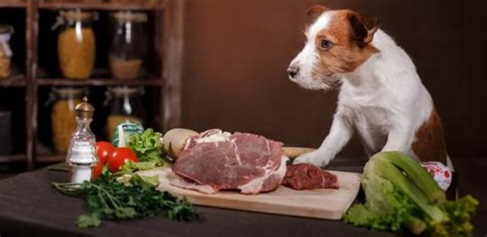 Does raw meat make dogs stronger?