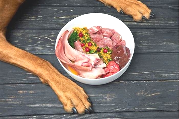 Elevate Your Dog's Diet: Discovering Superior Raw Nutrition