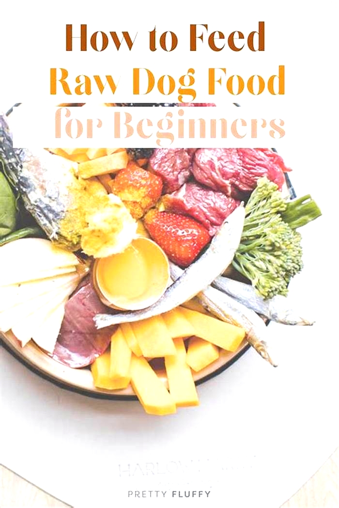 Elevate Your Dog's Diet: Nourishing Your Pooch with Raw Nutrition