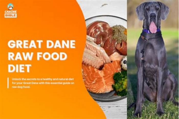 Elevate Your Dog s Diet Unlocking Canine Wellness with Raw Nutrition