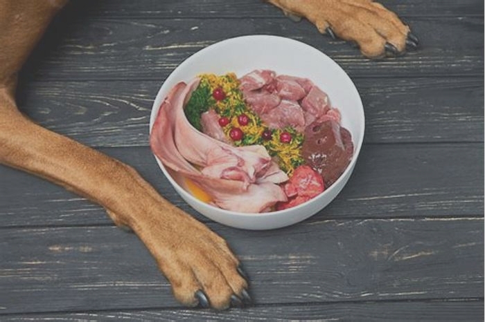 Elevate Your Dog's Diet: Unveiling Top Raw Food Choices