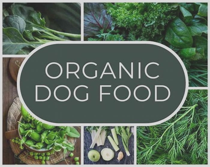 Farm to Fido: Ensuring Quality with Organic Dog Food