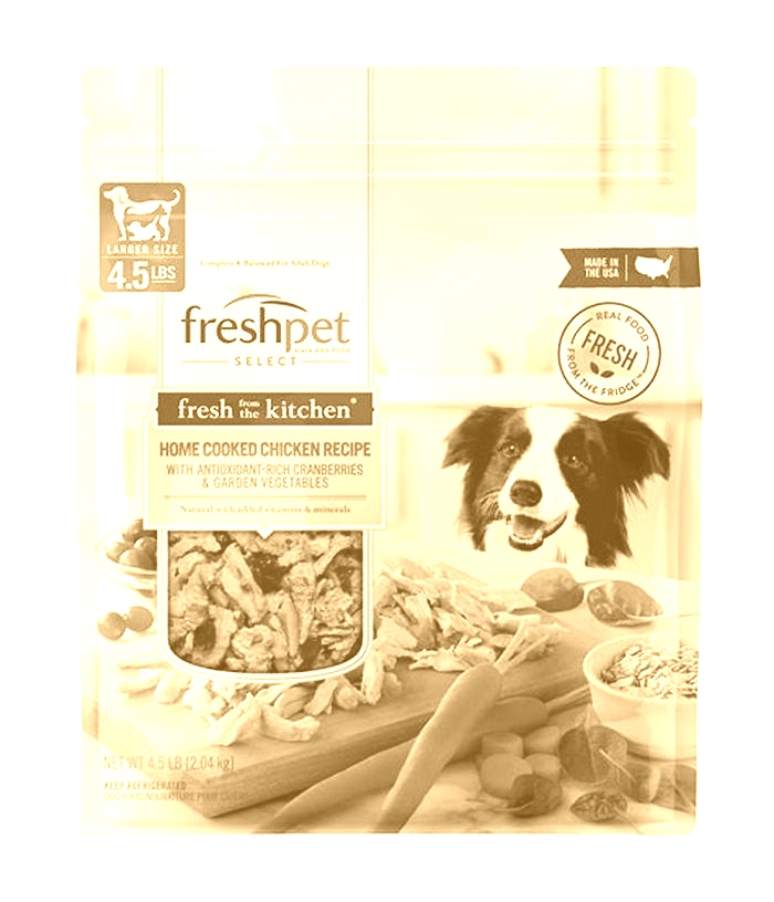 Fresh Feasts: Why Organic Dog Food Is the Best Choice