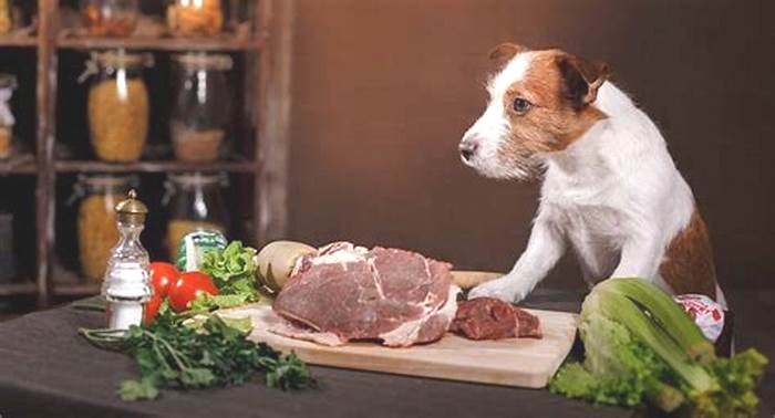 Fresh and Fit: Ensuring Your Dog's Health with Organic Diets