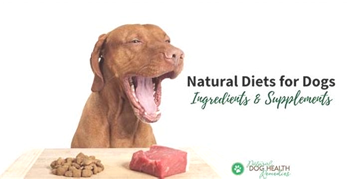 Fresh and Fit: Ensuring Your Dog's Well-Being and Vitality with Natural, Organic Diets