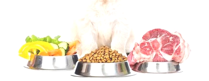 Fresh and Fit: Promoting Your Dog's Well-Being with Organic Diets