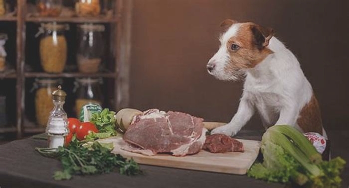 Fresh and Fit The Benefits of Organic Diets for Dogs