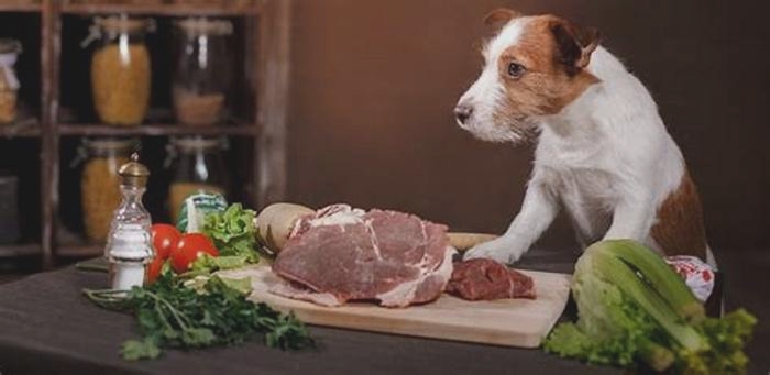 From Farm to Fido: A Guide to Elevating Your Dog's Diet with Raw Food