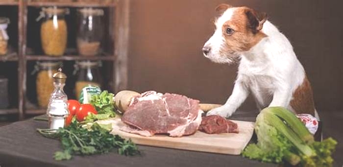 From Farm to Fido Crafting Superior Raw Dog Diets