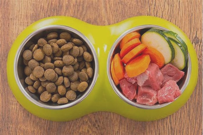 From Farm to Fido Crafting Superior Raw Dog Food for Your Pooch