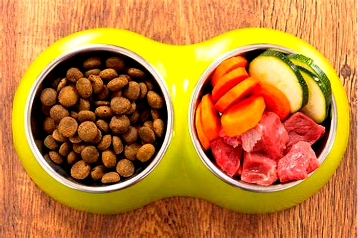 From Farm to Fido Crafting Superior Raw Dog Food for Your Pup