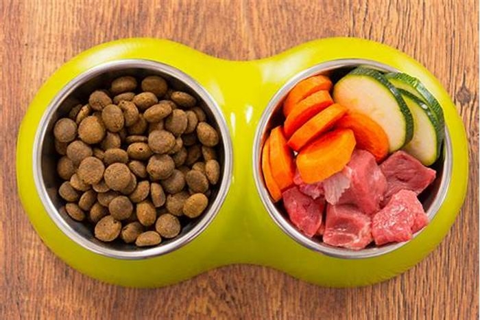 From Farm to Fido Exploring the Best Raw Dog Food Options