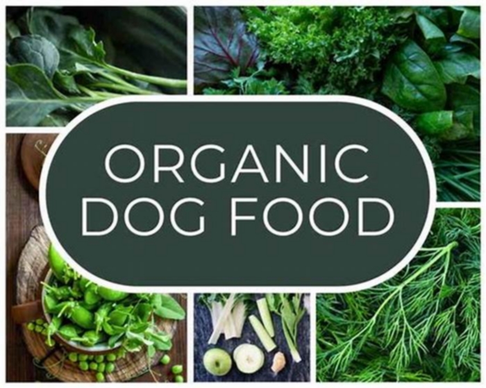 From Garden to Growl The Journey of Organic Dog Food