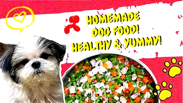 Fur Baby Feasts: The Joy of Organic Meals for Dogs