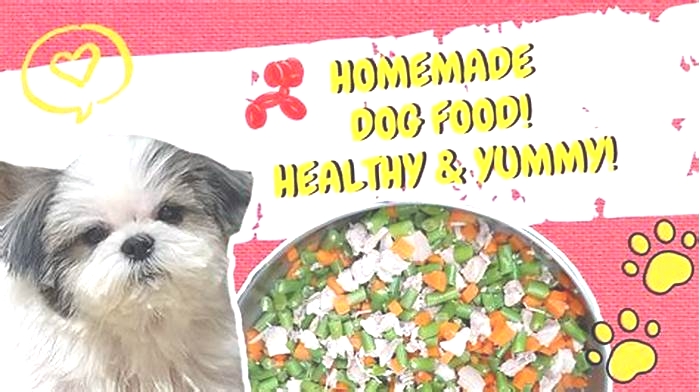 Fur Baby Feasts: Treating Your Dog to the Best with Organic Meals