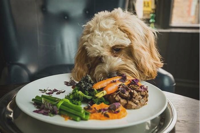 Fur Baby Feasts Treating Your Dog to the Finest Gourmet Organic Meals for Ultimate Enjoyment