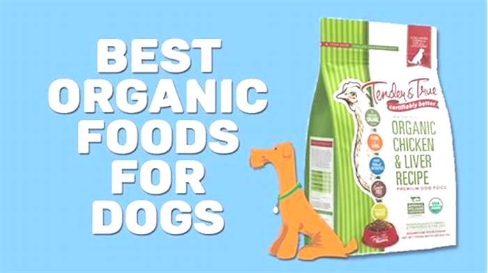 Going Au Naturel: Organic Options for Dog Nutrition