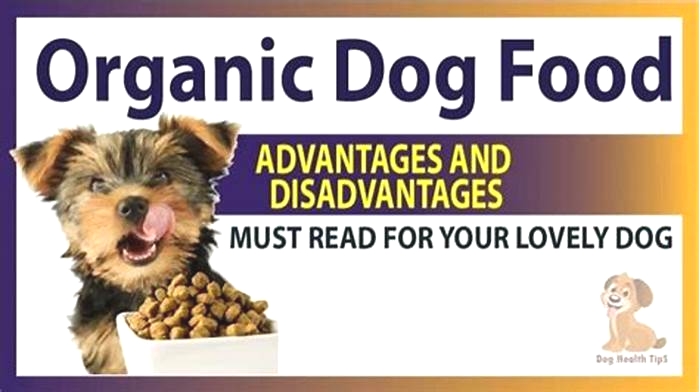 Going Green How Organic Dog Food Benefits Both Your Dog and the Environment